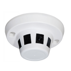 Smoke Detector Hidden Camera