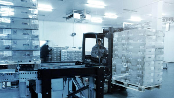 Cold Storage camera systems