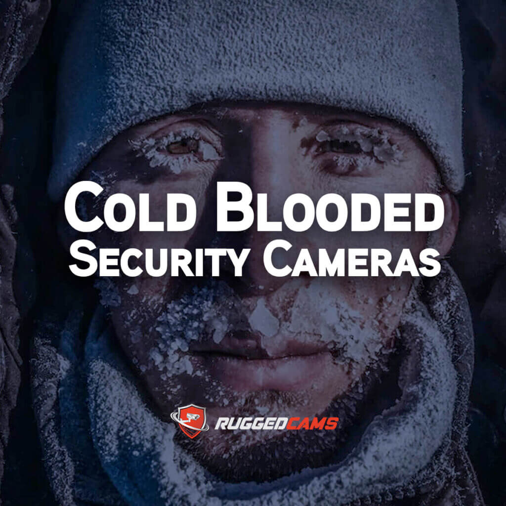 Cold Blooded Security Cams