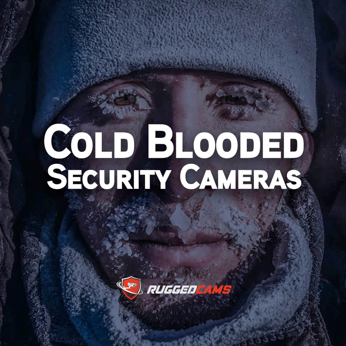 Cold Blooded Security Cameras Camera Systems made for extreme cold